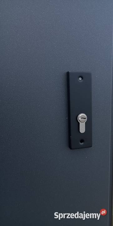 Drzwi THERMO TEMPER GLASS 4 Nowe Częstochowa