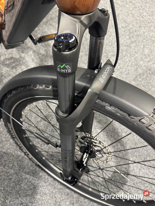 Rower elektryczny CRUSSIS eCountry 1011 Rama 15 wielkopolskie Poznań sprzedam