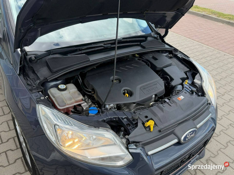 Ford Focus Ford Focus 16 TDCi DPF Champions Gostynin
