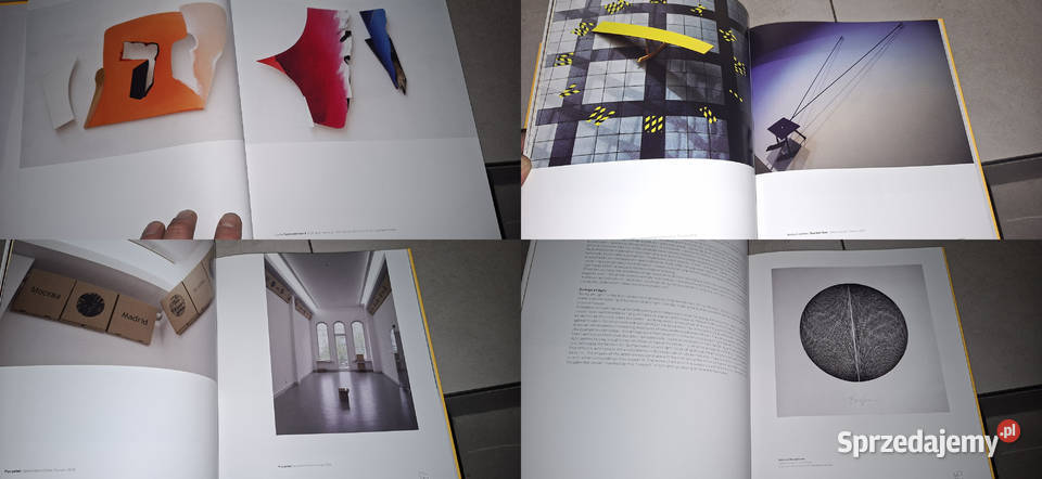 Visual Interview 01 Dictionary of Artists Poznań Swarzędz