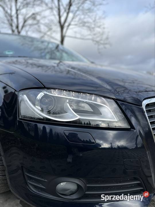 Audi A3 8P 18 TFSI 160 DRL PDC 187541km Starogard Gdański