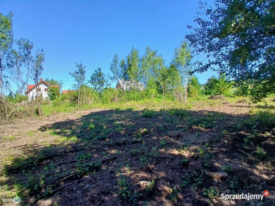 sprzedaży gruntu Raków 9100m2 świętokrzyskie