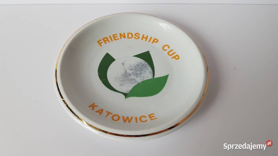 Porcelanowy talerzyk do powieszenia Frendship śląskie Dąbrowa Górnicza