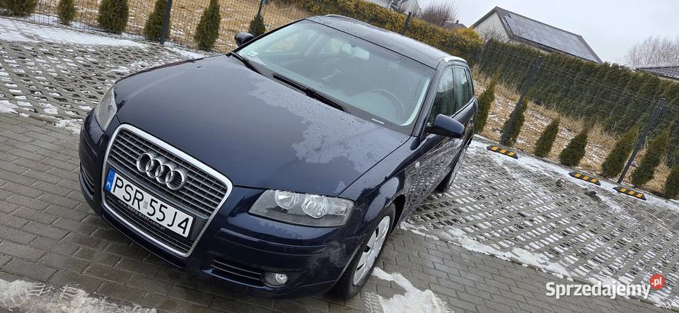 Audi a3 8p sprtback 20tdi 140 BMM sprawdz Pławce