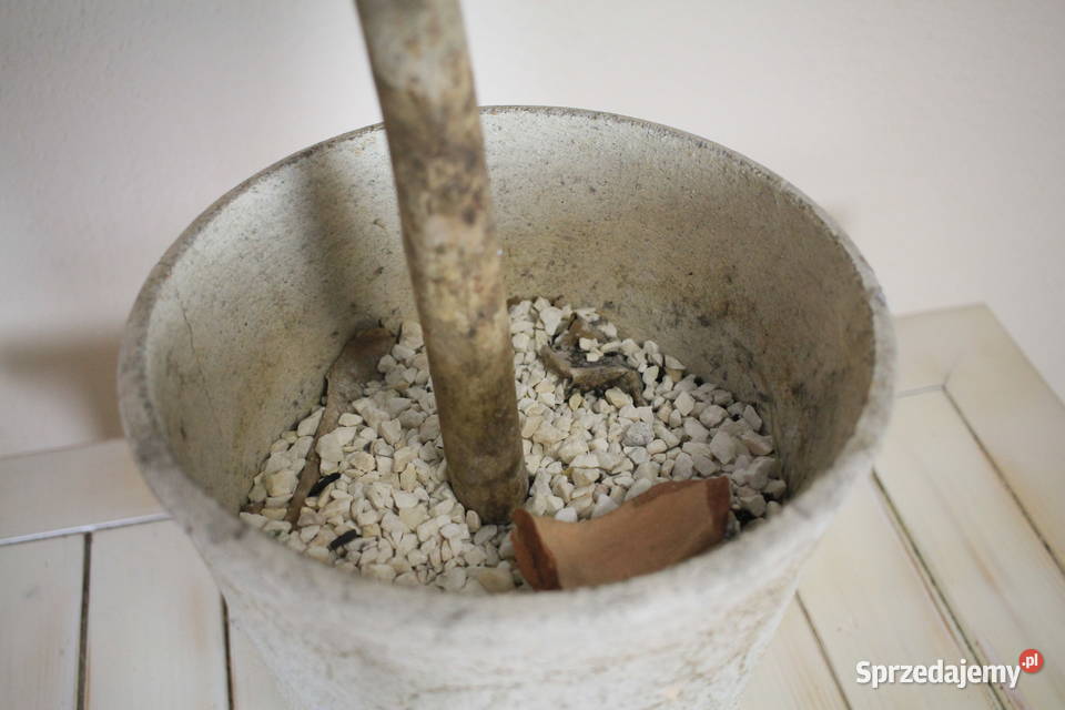 Piękne drzewko donica Pszczyna