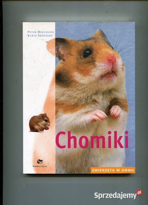Chomiki Zwierzeta w domu Peter Hollmann Karin Szczecin