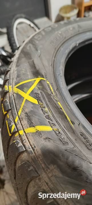 Sprzedam opony zimowe Pirelli Cinturato 21555 zima podkarpackie Świlcza