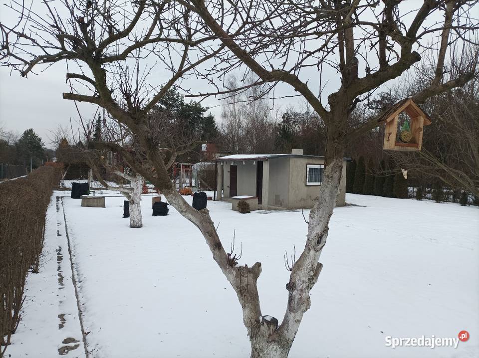 Działka rekreacyjna 1go Maja w Gliwicach Knurów