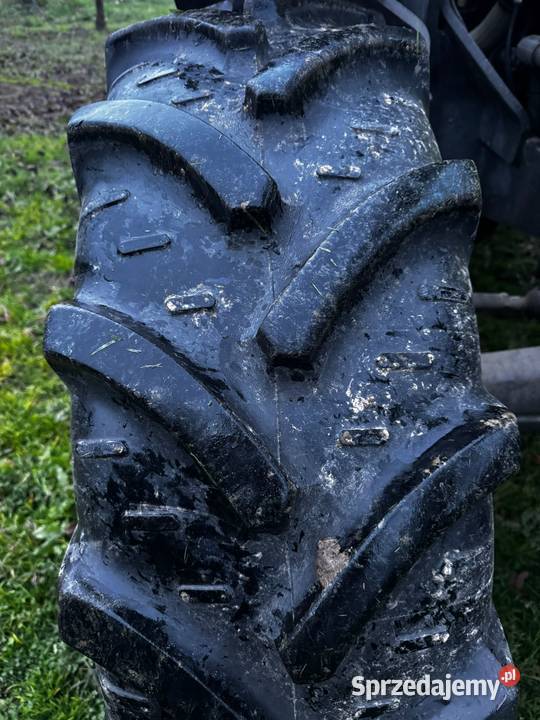 Celtis 456 RX Claas Poniatowa