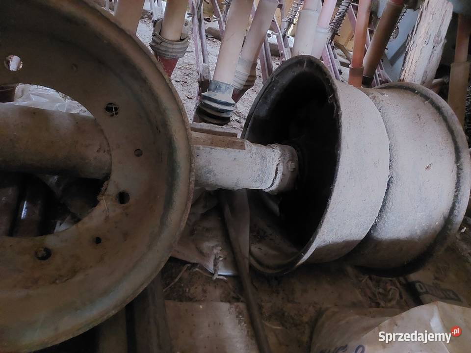 Rozrzutnik Ksawerówka