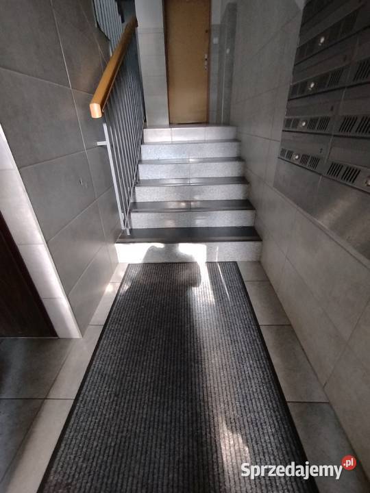 Saska Kępa mieszkanie 38 m2 parter do negocjacji balkon Warszawa