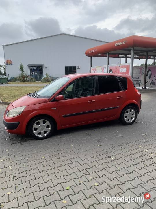 Renault Scenic 2004r 15 dci nieuszkodzony Scenic