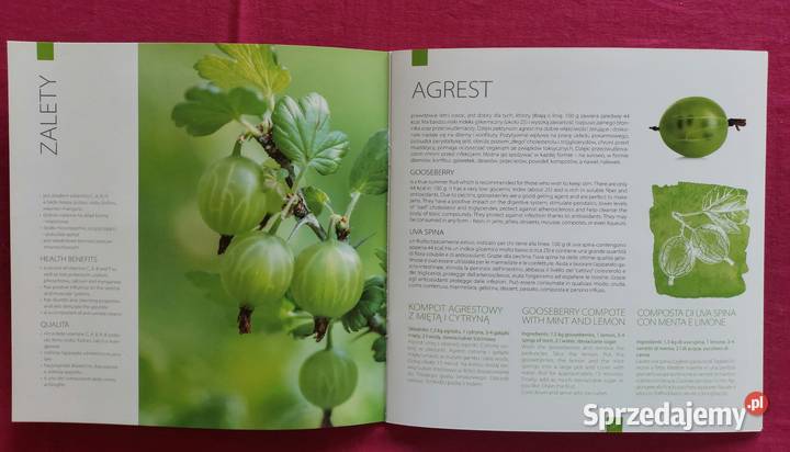 Folder Poczta Polska Światowa wystawa EXPO 2015