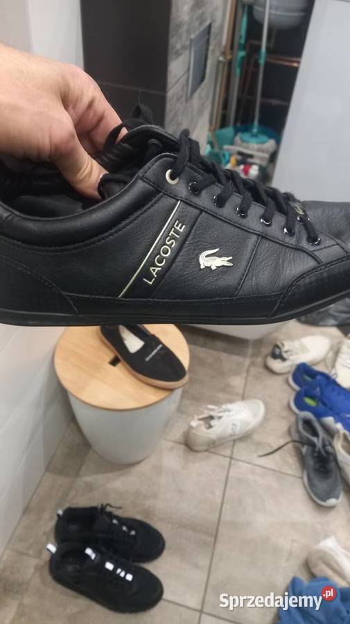 Buty Lacoste 46 Kórnik