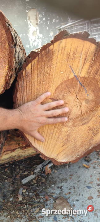 Drewno sosnowe opałowe w całości połupane Zagórów