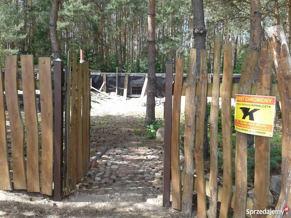Działka budowlanazalesiona koło Warki Kępa Niemojewska