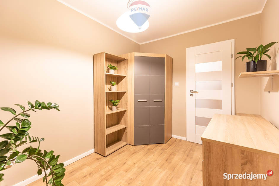 Do wynajęcia 3 pokoje w centrum Zielonej Góry lubuskie Zielona Góra