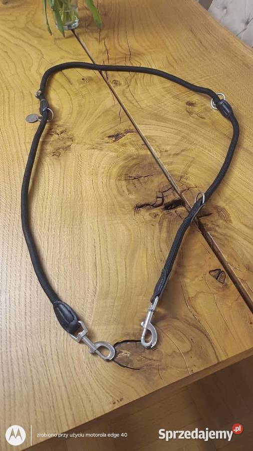 Smycz z regulowaną długością Dla psów Ciechanów