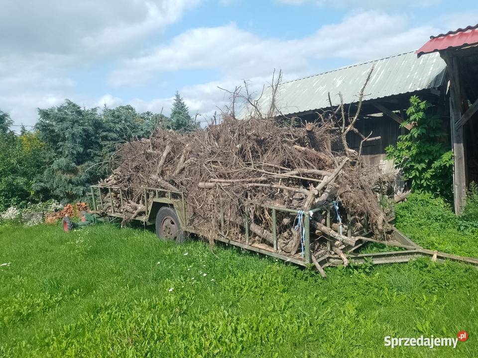 Drzewo opałowe Rzeczniów sprzedam