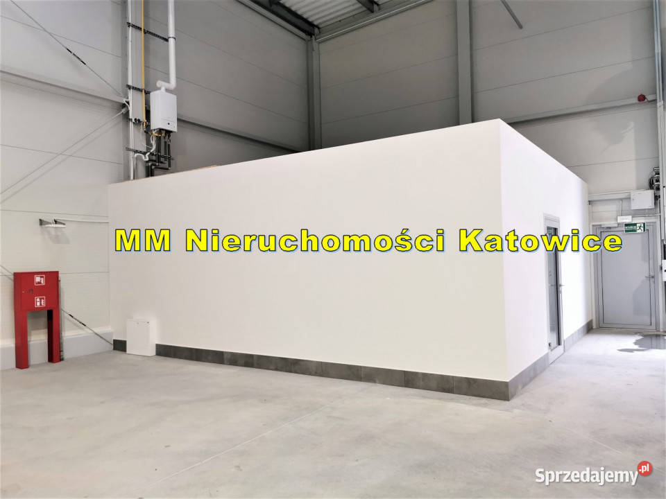 Wynajem lokalu Katowice 745m2 winda Wynajem sprzedam