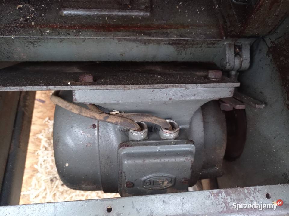 Grubościówka niemiecka Frommia 30