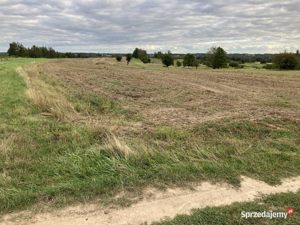 grunt rolny i łąki 62500m2 podkarpackie Kolbuszowa Górna