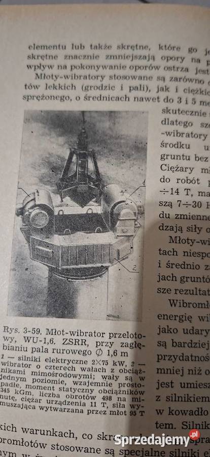 Pale i fundamenty palowe wyjątkowo rzadkie I wielkopolskie Łęczyca