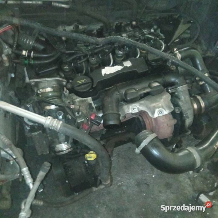 Silnik kompletny ford focus MK2 16 TDCi 109 Szczecin