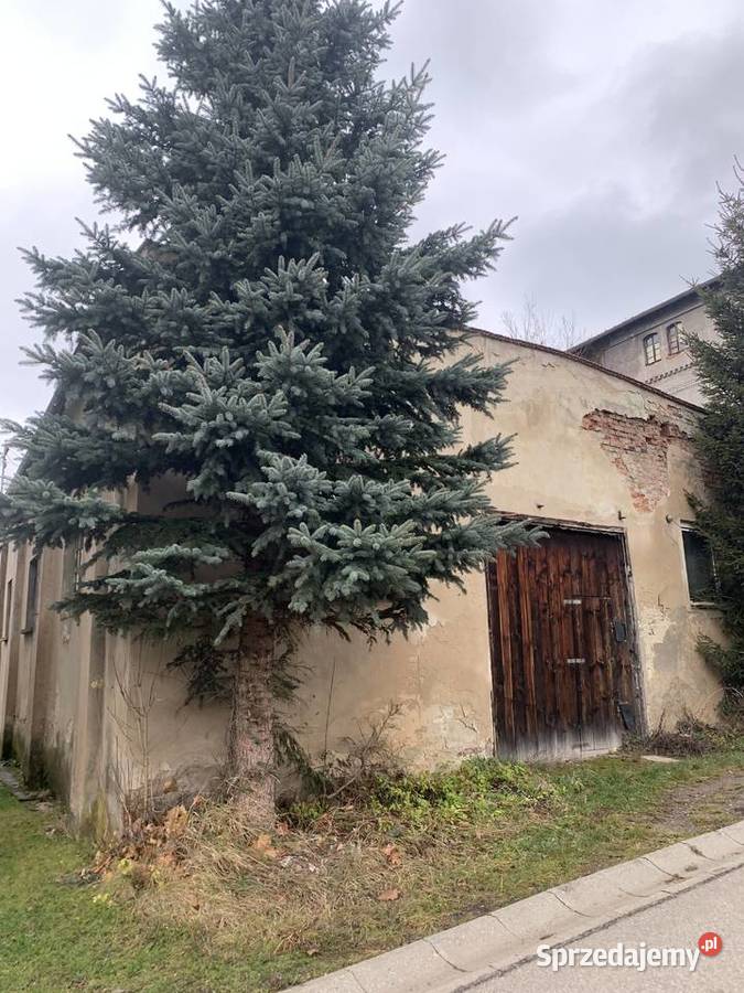 Sprzedam nieruchomość stolarnia tartak Nieruchomości