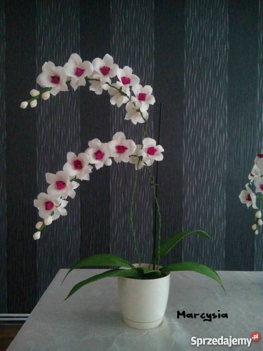 Storczyk z krepiny PREZENT NA DZIEŃ KOBIET mazowieckie Ostrołęka