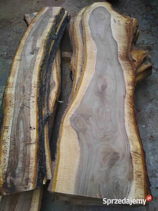 Tarcica orzech monolity WALNUT SLABS Izdebnik