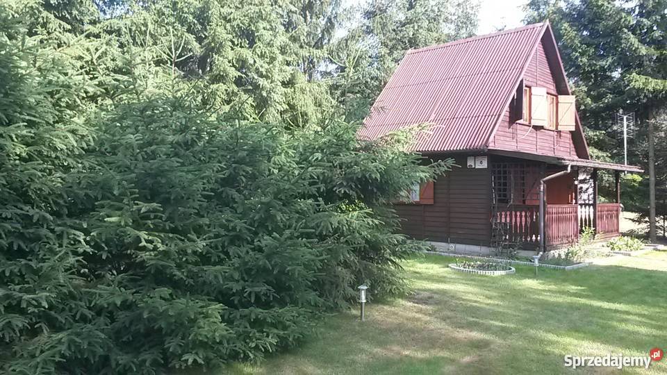 Działak rekreacyjna z domkiem rzeką ładnie Adamowo