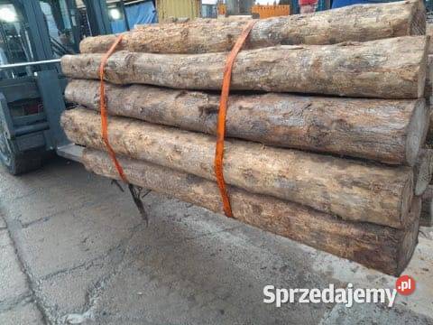 Kłody z drewna tekowego drewno teak pomorskie Gdynia