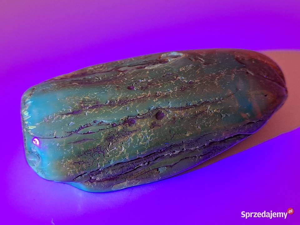 Broszka z bursztynu bursztyn bryłka 1494 Warszawa