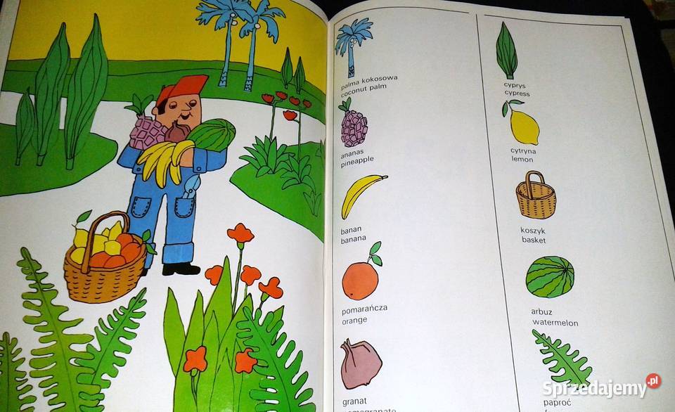 Słówka Ilustrowany polskoangielski słowniczek Rok wydania 1990 lubelskie Chełm