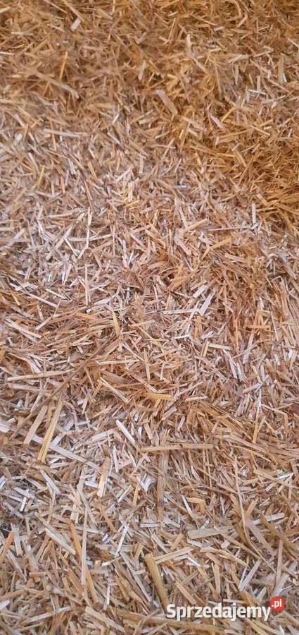 Słoma rozdrobniona ściółka Frydrychowice sprzedam