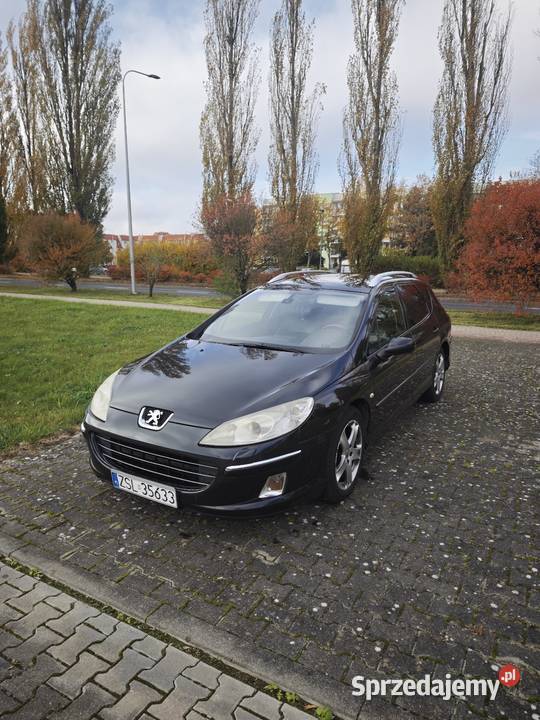 Peugeot 407
