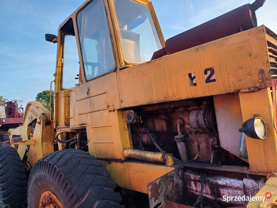 Fadroma Ł 200 Wieleń sprzedam