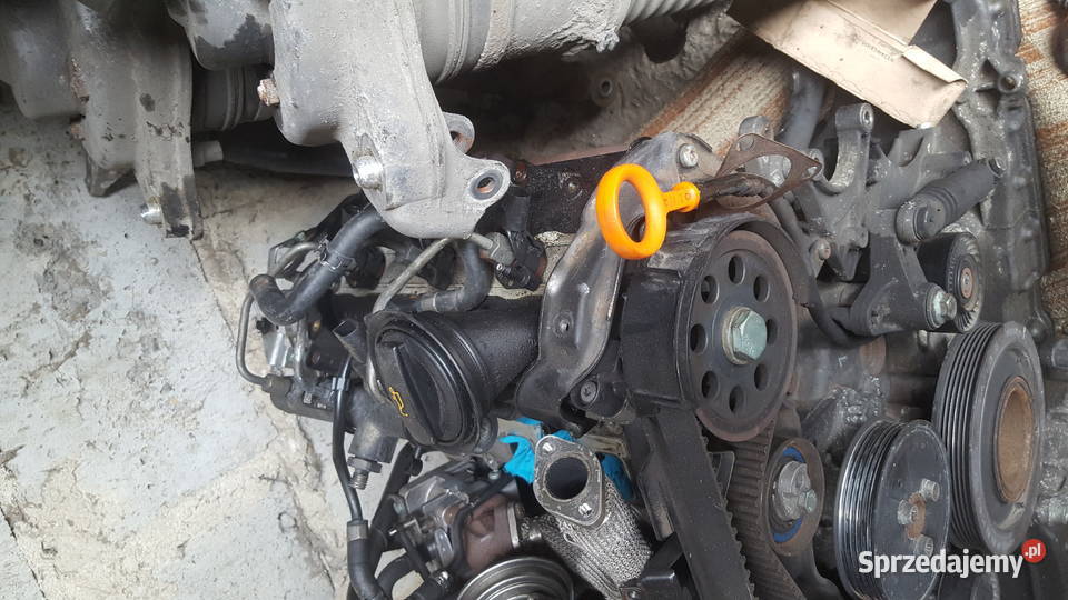 Wszystkie czesci audi 30tdi bmk blok głowica Włocławek sprzedam