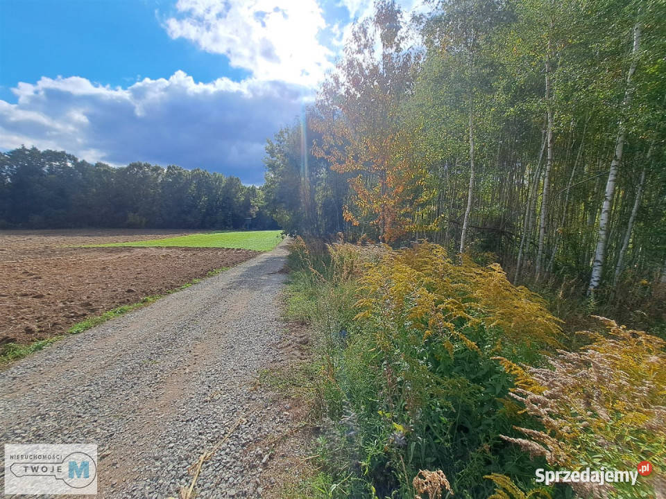 Grunt Łagów 8879m2