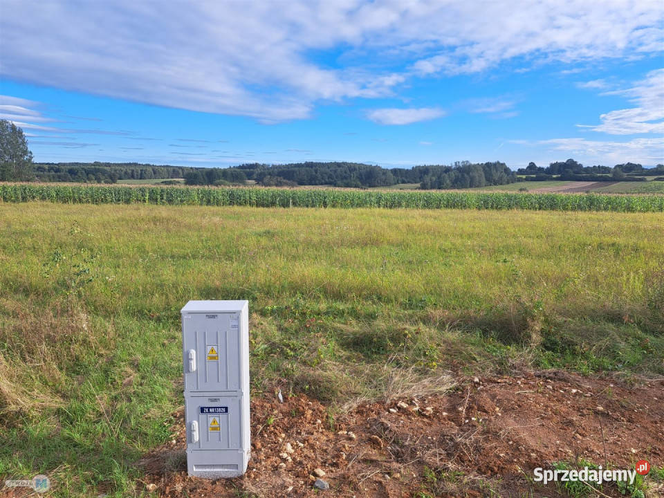 Ogłoszenie działka Pierzchnica 6600m2