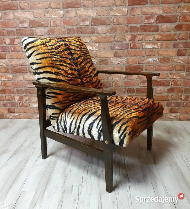 Odnowiony fotel vintage, PRL, typ BW-14, "tygrys"