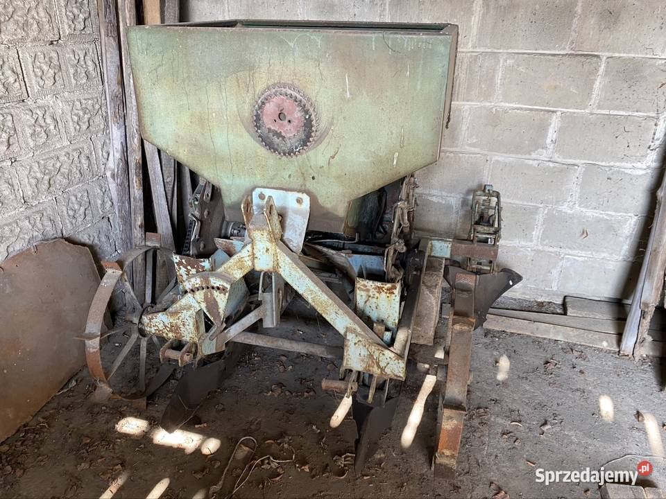 Sadzarka czeska nieuszkodzony Grabów-Wójtostwo