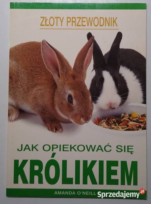 opiekować się królikiem Amanda ONeill miękka