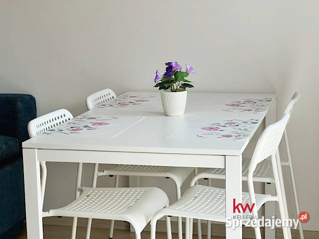 Mieszkanie Wrocław 2756m2 1 pok Liczba pokoi 1