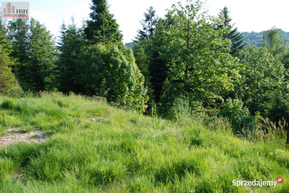 Do sprzedaży działka 14000m2 Żarnówka 33zł/m2