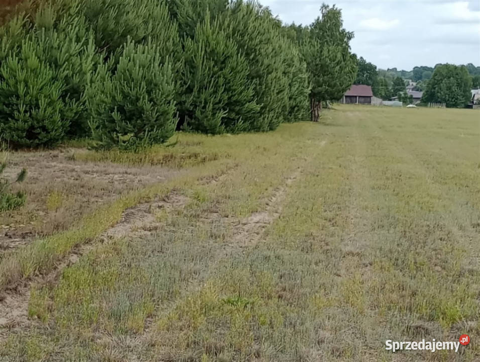 Kąty Trzebuskie działka 10 ar z WZ Sprzedam 1000m2 podkarpackie