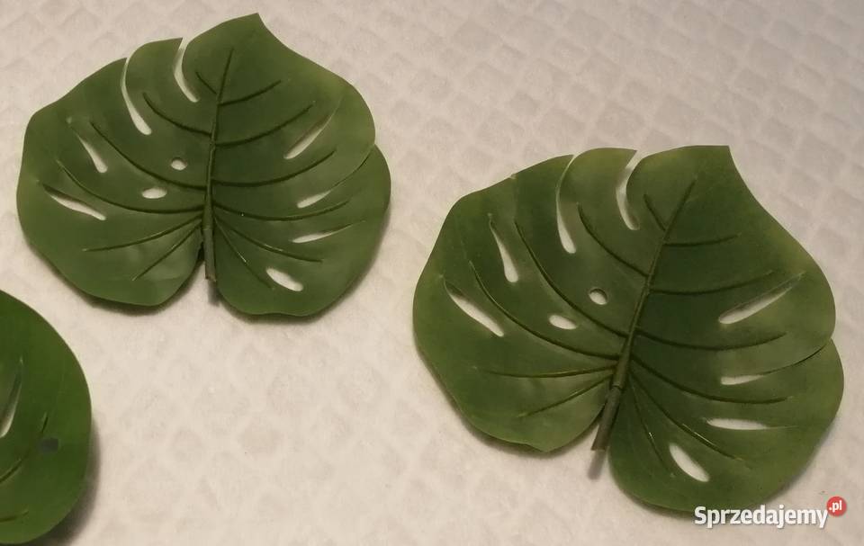 Sztuczny liść 175x185 1 Pozostałe Czeladź sprzedam