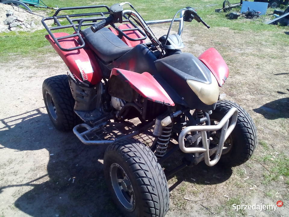 quad 250 manual Bashan Wizna