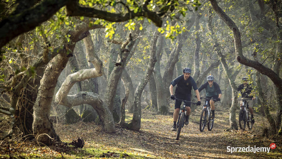 MARIN BIKES WILDCAT TRAIL 2 ACTIVE ZONE Ostrowiec Świętokrzyski